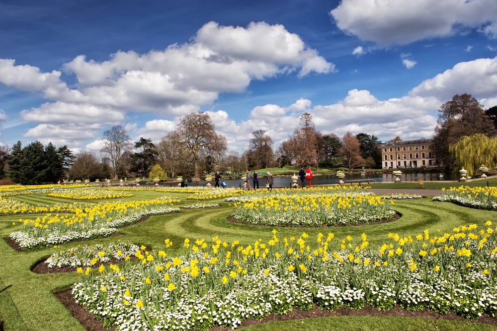 Best French Restaurants in Kew - Reviews & Restaurant Guide | Hardens